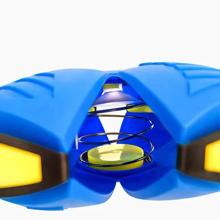 Little Friends™ Dog Frisbee
