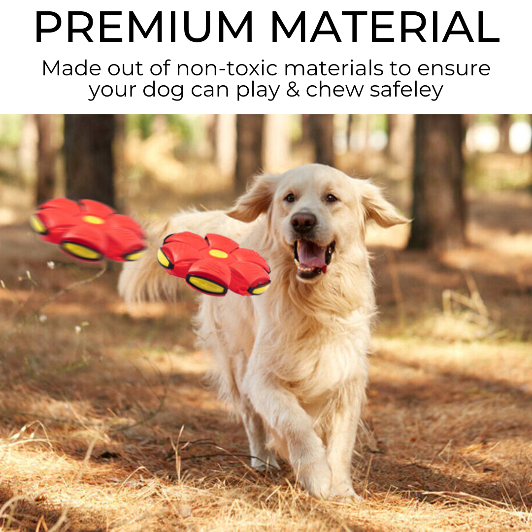 Little Friends™ Dog Frisbee